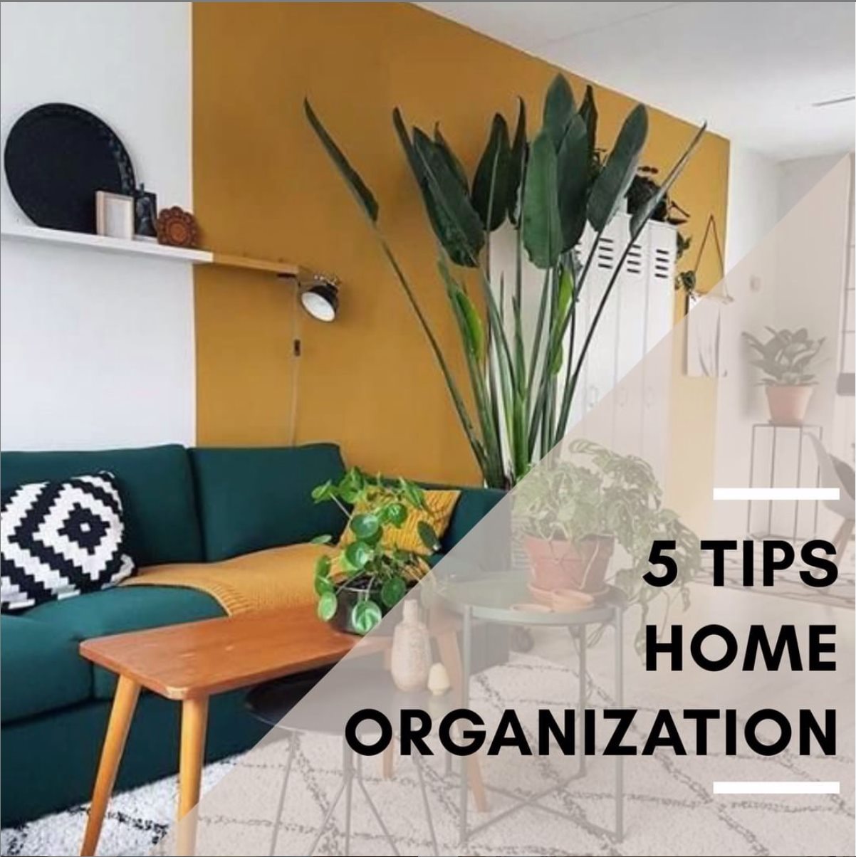 5 Tips for Keeping Your House in Order